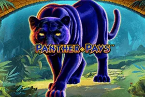 Panther Pays - JOOX138