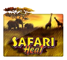 Safari Heat - JOOX138
