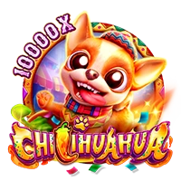 CHILIHUAHUA - JOOX138