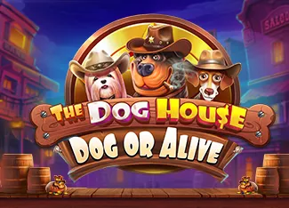 The Dog House - Dog or Alive - JOOX138