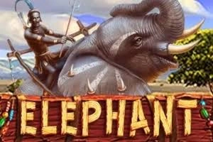 PLAYSTAR : ELEPHANT - JOOX138