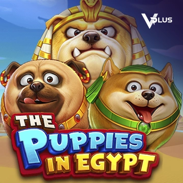 The Puppies In Egypt - JOOX138