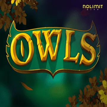 Owls - JOOX138