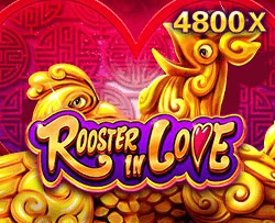 Rooster In Love - JOOX138