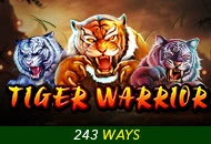 Tiger Warrior - JOOX138