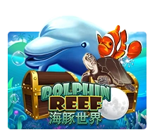 Dolphin Reef - JOOX138