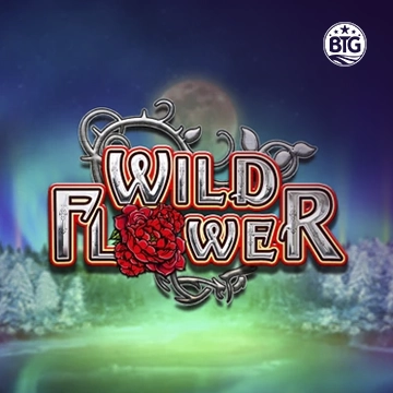 Wild Flower - JOOX138