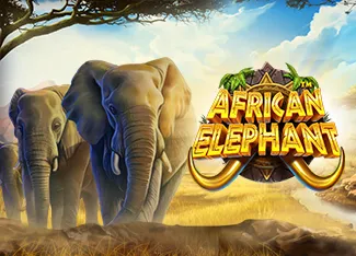 African Elephant - JOOX138